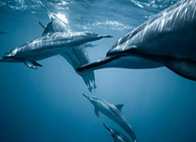 九游娱乐-“一坐高铁就犯困”，12306回应车厢二氧化碳浓度超标